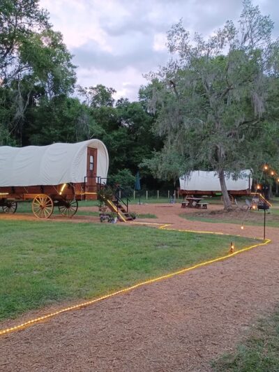 Rooterville Animal Sanctuary - Melrose, FL