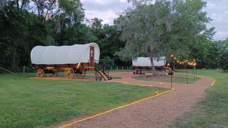 Rooterville Animal Sanctuary - Melrose, FL