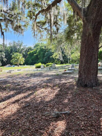 Speedville Park - Melrose, FL