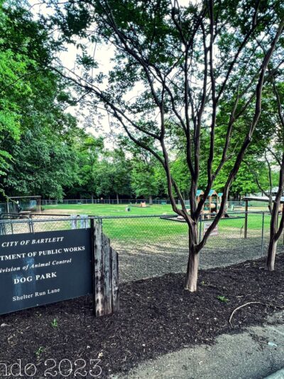 Bartlett Dog Park - Memphis, TN