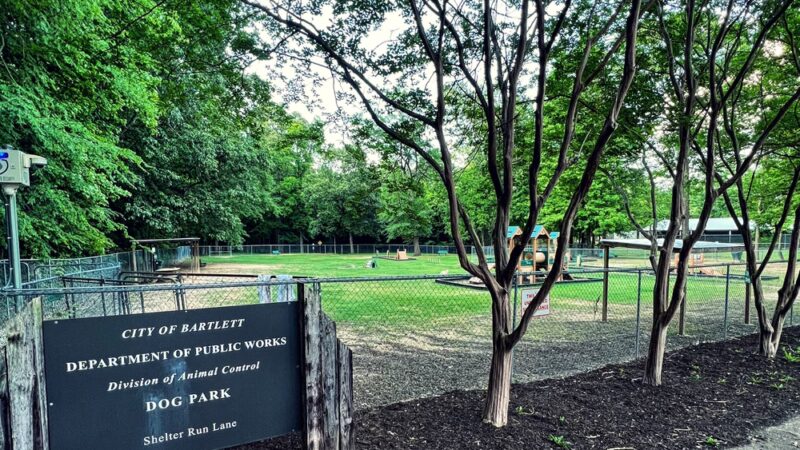 Bartlett Dog Park - Memphis, TN