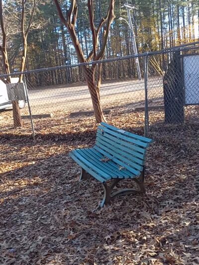 Bartlett Dog Park - Memphis, TN