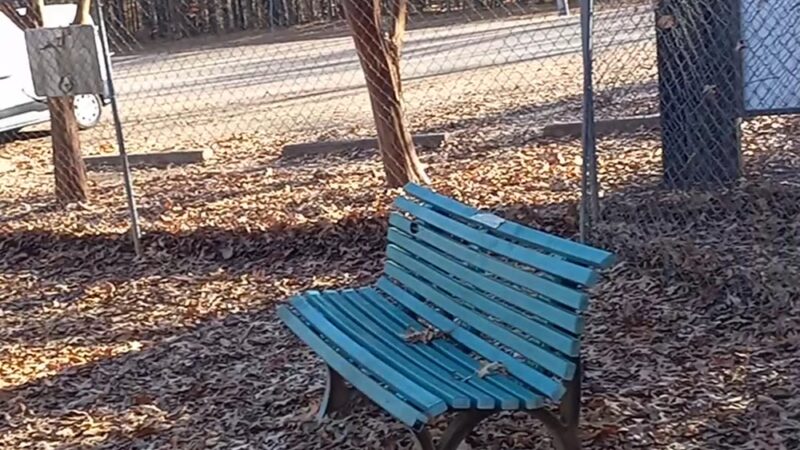 Bartlett Dog Park - Memphis, TN