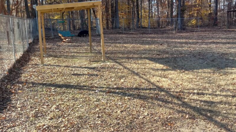 Bartlett Dog Park - Memphis, TN