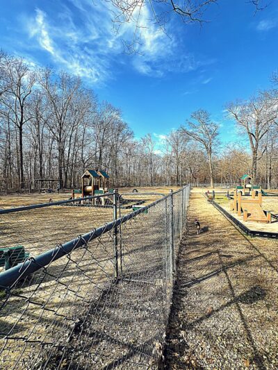 Bartlett Dog Park - Memphis, TN