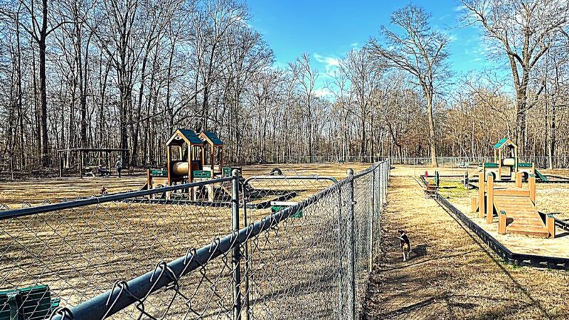 Bartlett Dog Park - Memphis, TN