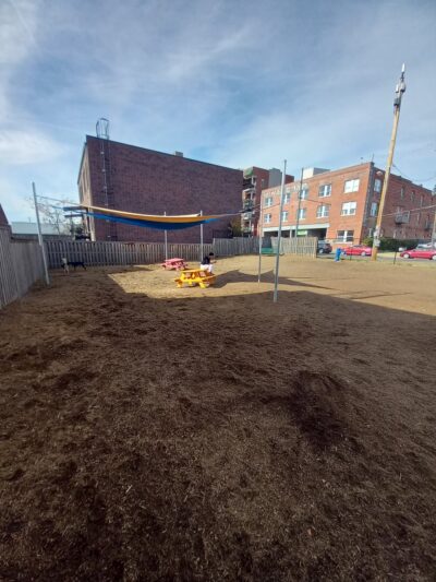 Central Bark - Memphis, TN