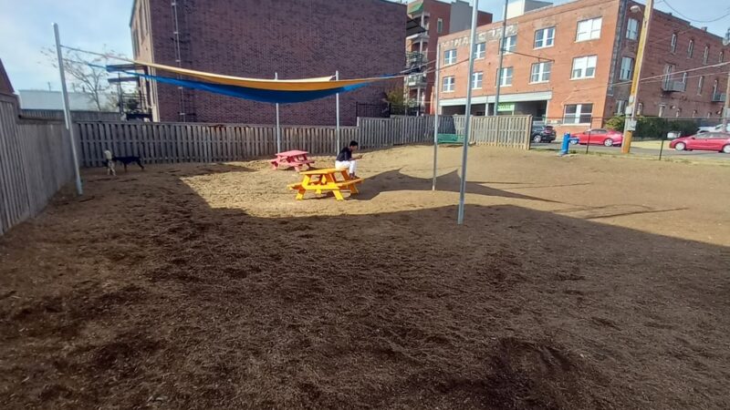 Central Bark - Memphis, TN