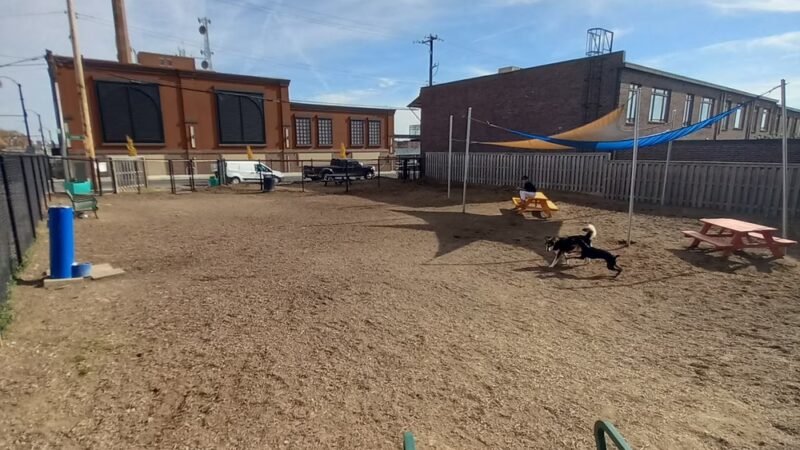 Central Bark - Memphis, TN