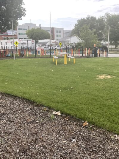 Edge Triangle Hound Dog Dog Park - Memphis, TN