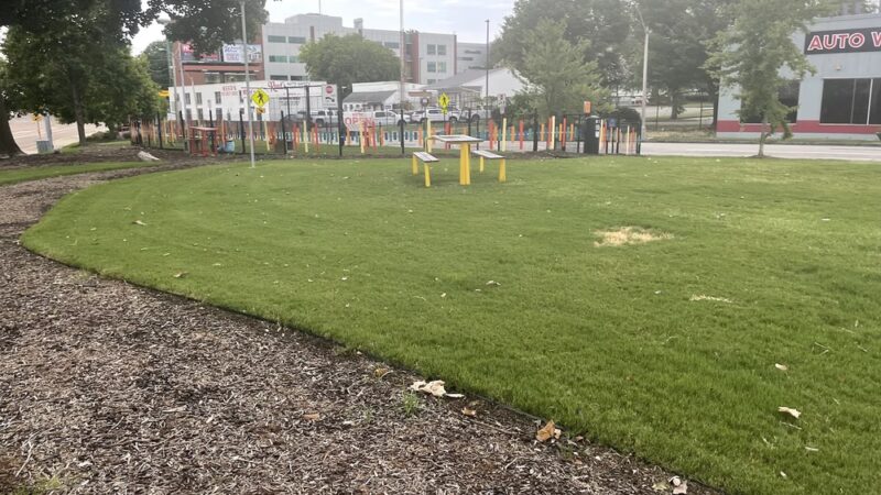 Edge Triangle Hound Dog Dog Park - Memphis, TN