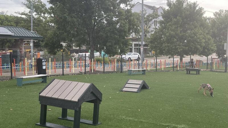 Edge Triangle Hound Dog Dog Park - Memphis, TN