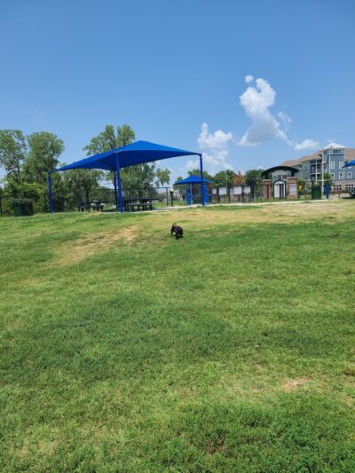 Mud Island Dog Park - Memphis, TN