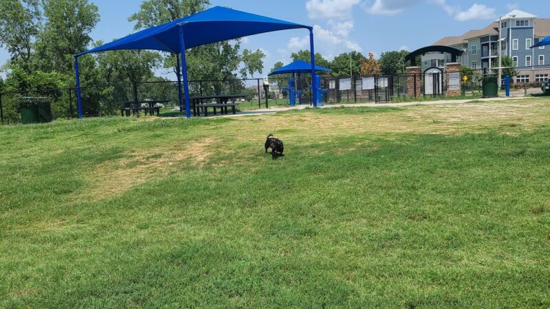 Mud Island Dog Park - Memphis, TN