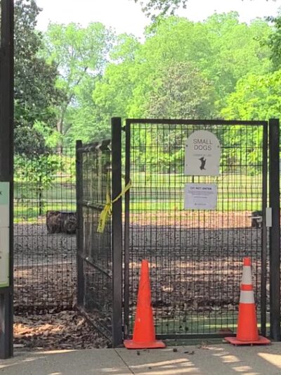 Overton Bark - Memphis, TN