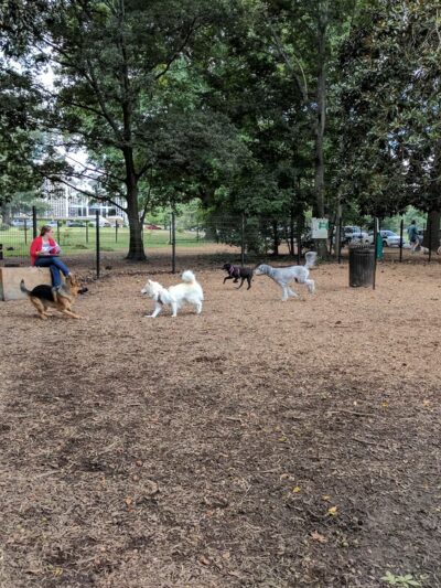 Overton Bark - Memphis, TN