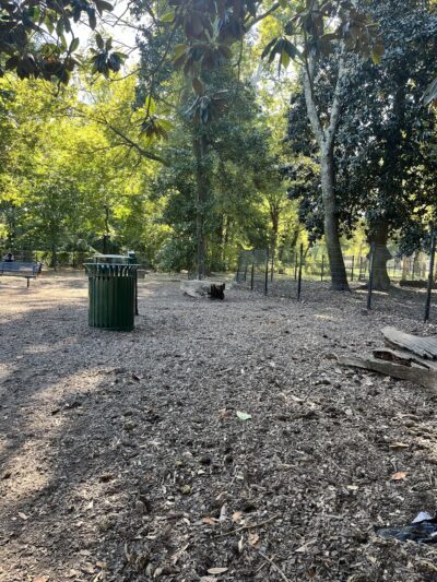 Overton Bark - Memphis, TN