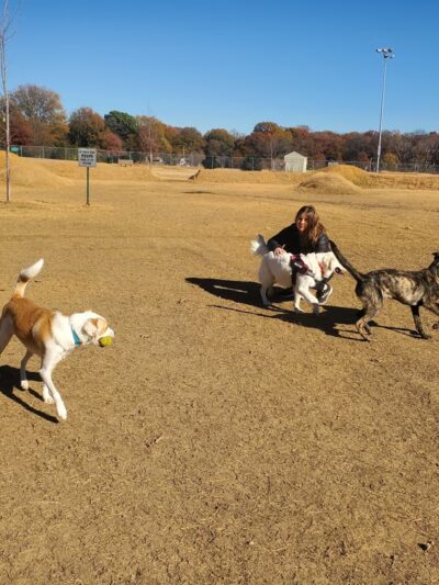 Sea Isle Park - Memphis, TN
