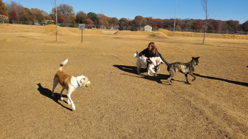 Sea Isle Park - Memphis, TN
