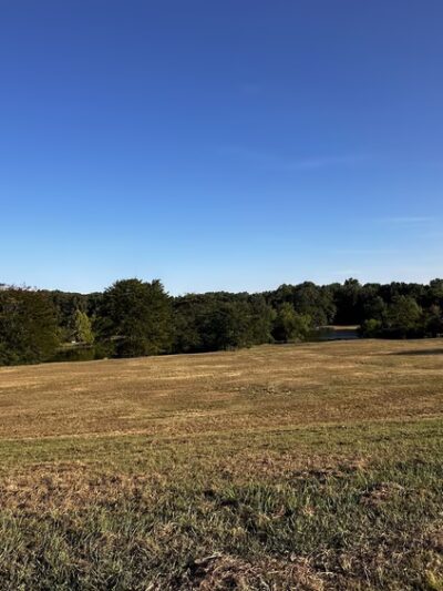 Shelby Farms Dog Park - Memphis, TN