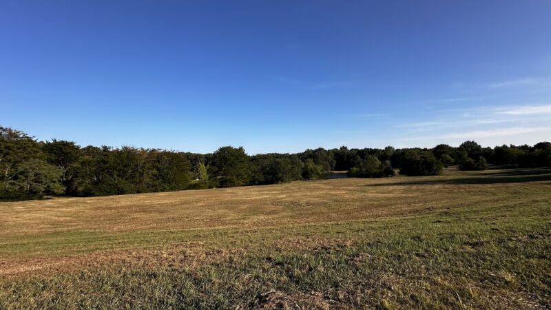 Shelby Farms Dog Park - Memphis, TN