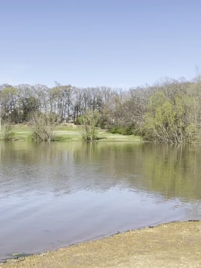 Shelby Farms Dog Park - Memphis, TN