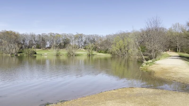 Shelby Farms Dog Park - Memphis, TN
