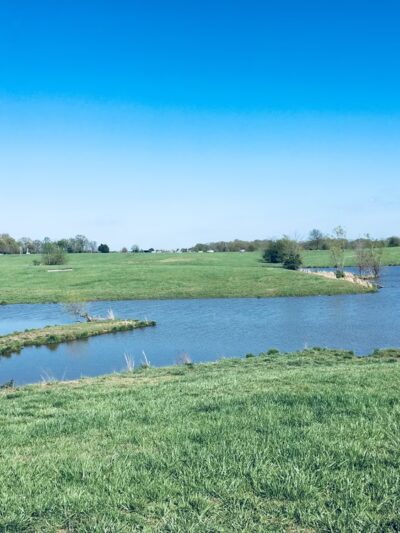 Shelby Farms Dog Park - Memphis, TN
