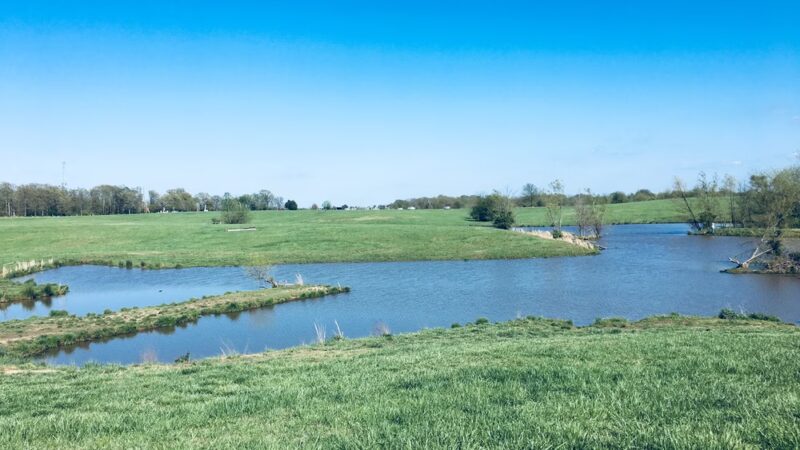 Shelby Farms Dog Park - Memphis, TN
