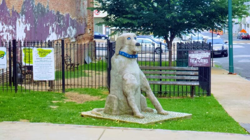 The Barking Lot Dog Park - Memphis, TN