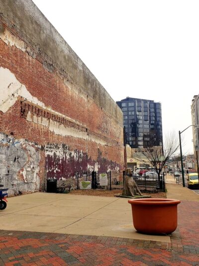 The Barking Lot Dog Park - Memphis, TN