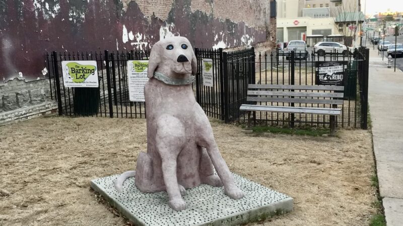 The Barking Lot Dog Park - Memphis, TN