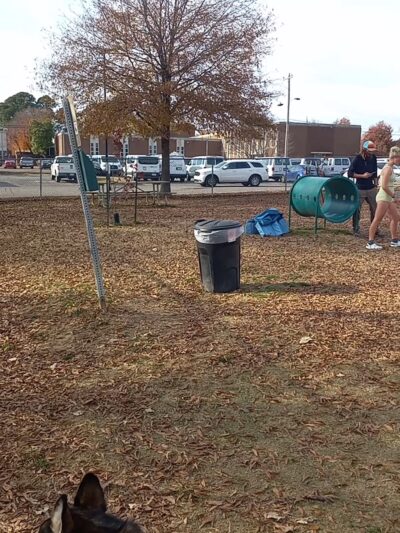 Tobey Dog Park - Memphis, TN