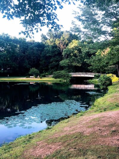 Mountain Valley Park - Mendham, NJ