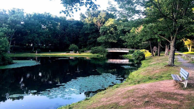 Mountain Valley Park - Mendham, NJ