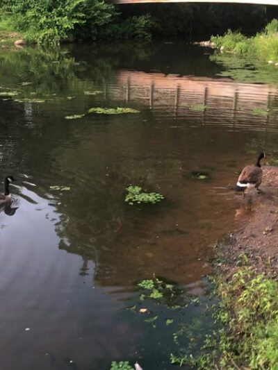 Mountain Valley Park - Mendham, NJ