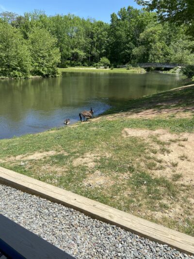 Mountain Valley Park - Mendham, NJ