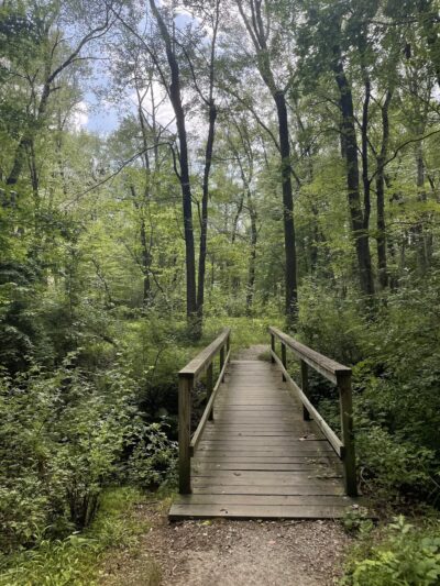 Mountain Valley Park - Mendham, NJ