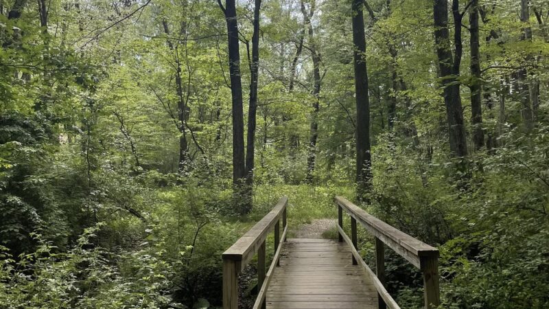 Mountain Valley Park - Mendham, NJ