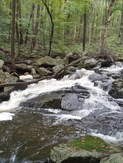 Buttermilk Falls - Mendham Township, NJ