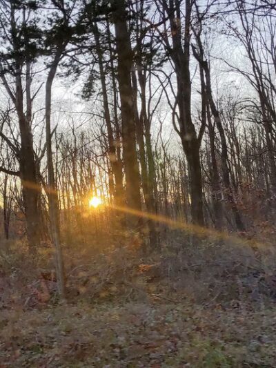 Tempe Wick Reserve - Mendham Township, NJ