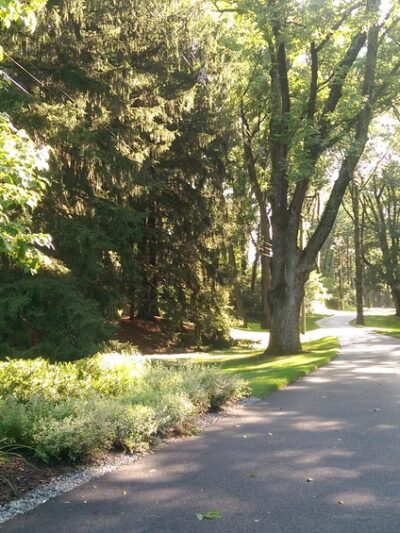 Tempe Wick Reserve - Mendham Township, NJ