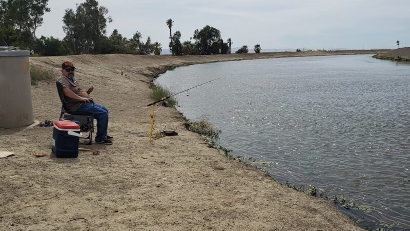 Mendota Pool Park - Mendota, CA