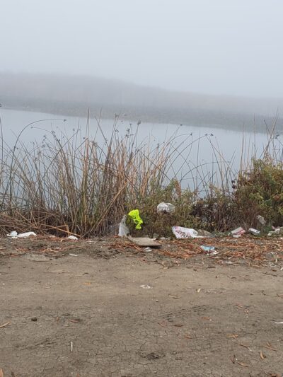 Mendota Pool Park - Mendota, CA