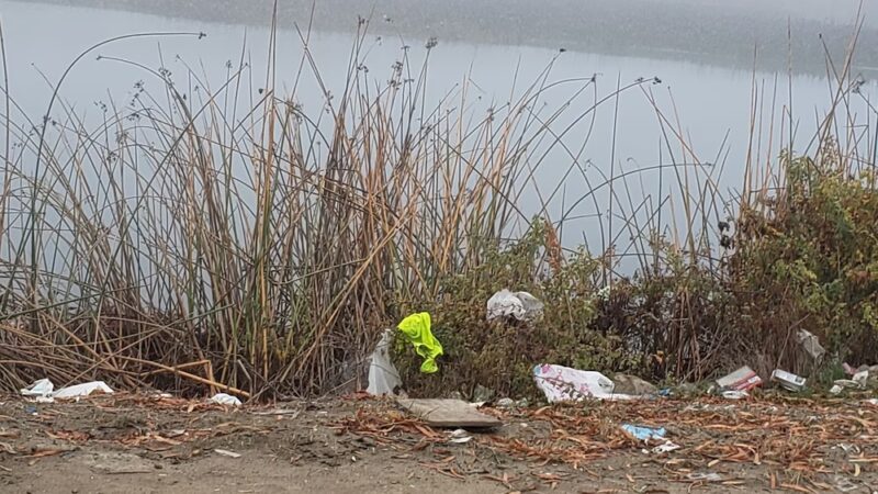 Mendota Pool Park - Mendota, CA
