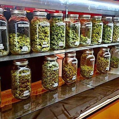 Veteran's Park - Mendota, CA