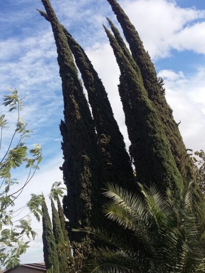 Veteran's Park - Mendota, CA