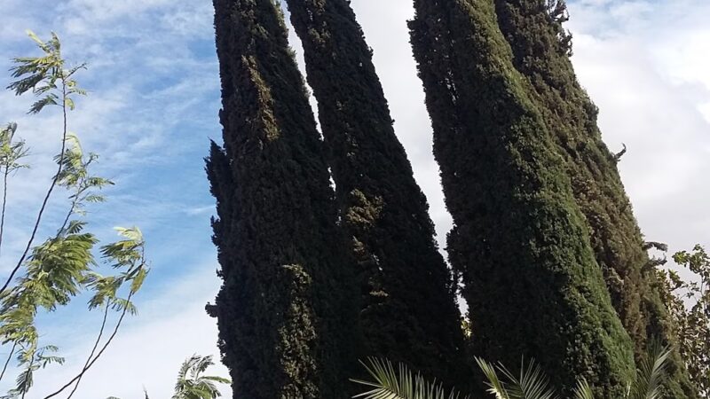 Veteran's Park - Mendota, CA