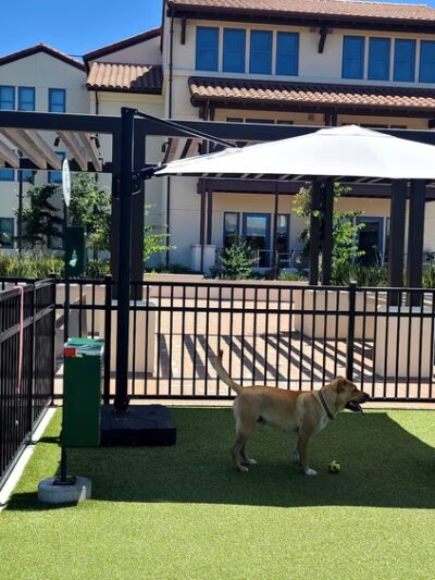 Springline - The Glade (Dog Park) - Menlo Park, CA