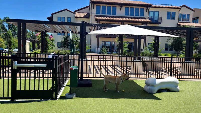 Springline - The Glade (Dog Park) - Menlo Park, CA